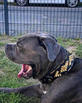Load image into Gallery viewer, The ''Midas'' Collar Gold - Pet Collars & Harnesses from Bestia Dog Gear
