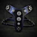 Load image into Gallery viewer, The ''Bijou'' harness Black & Blue Small to Medium Size - Pet Collars & Harnesses from Bestia Dog Gear
