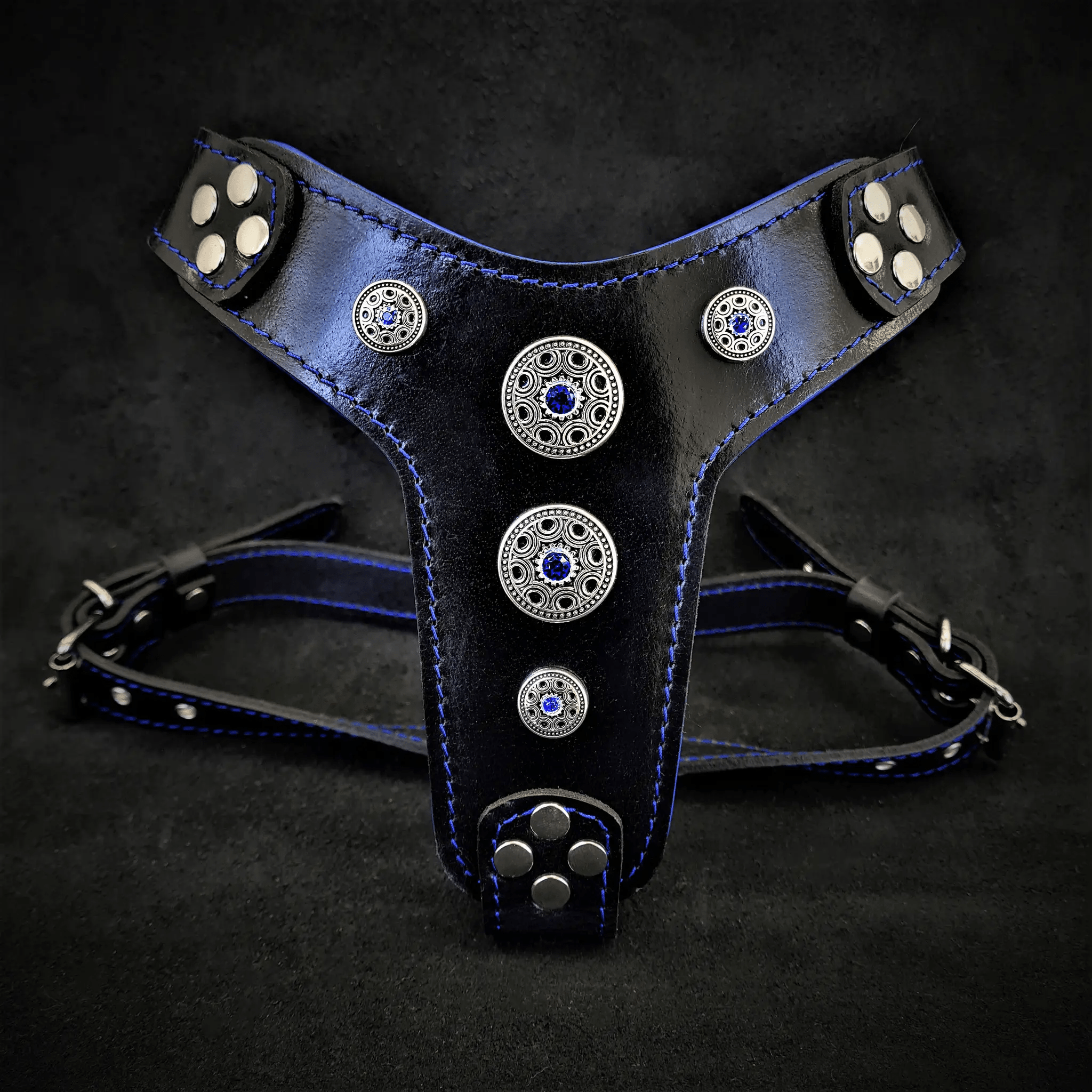 The ''Bijou'' harness Black & Blue Small to Medium Size - Pet Collars & Harnesses from Bestia Dog Gear