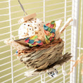 Charger l'image dans la visionneuse de la galerie, Parrot Bird Toy Gnawing Molar Chew Durable Supplies Set Kit by Sell My Stuff
