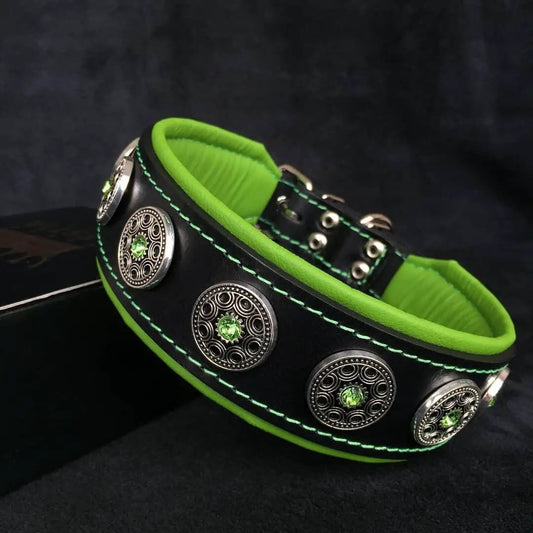 "Bijou" collar black & green - Pet Collars & Harnesses from Bestia Dog Gear