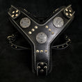 Carica l'immagine nel visualizzatore della galleria, The "Maximus" silver harness - Pet Collars & Harnesses from Bestia Dog Gear
