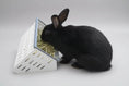 Cargar la imagen en la vista de la galería, Open Air Hay Feeder by Bunny Business
