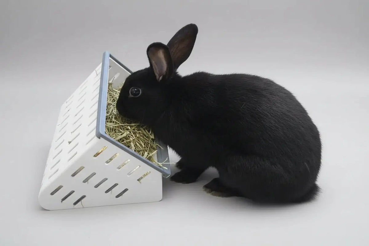 Open Air Hay Feeder by Bunny Business