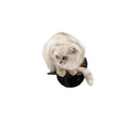 Load image into Gallery viewer, Enjoy The Wood Premium Solid Black Modular Wooden Cat Step Units by Enjoy The Wood
