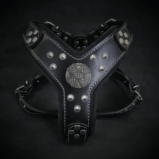 Bestia Dog Gear Maximus Harness Black & Silver Genuine Leather S/M by Bestia Dog Gear