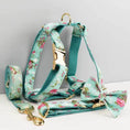 Load image into Gallery viewer, Blue Blossom Floral Harness Lead Set 3 Piece Kit With Removable Bow by DDPaws
