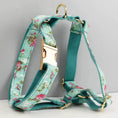 Load image into Gallery viewer, Blue Blossom Floral Harness Lead Set 3 Piece Kit With Removable Bow by DDPaws

