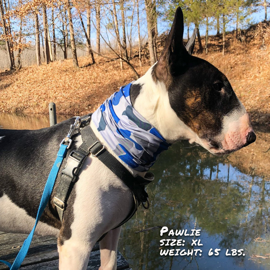 Bone Camo Blue Pup Scruff Dog Bandana