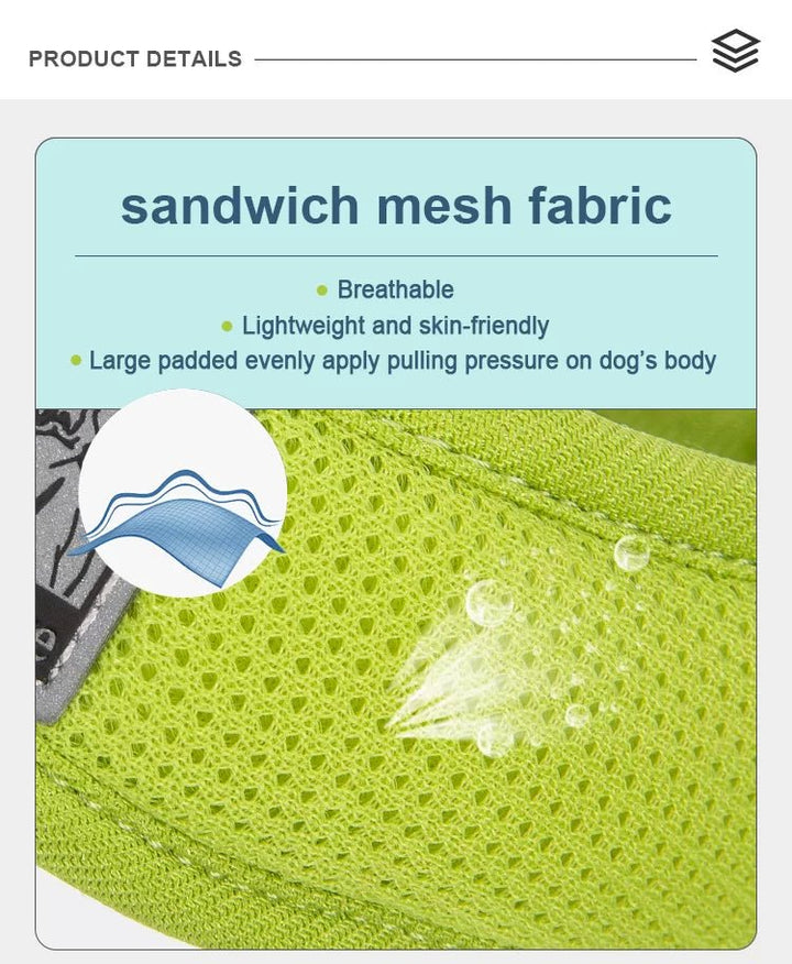 TrueLove Air Mesh Dog Harness TLH3013 – Moss Green