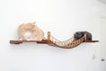 Gallery viewerに画像を読み込む, Cat Wall Bridge and Shelf Set; wooden cat perch with rope bridge, orange tabby and gray cats.
