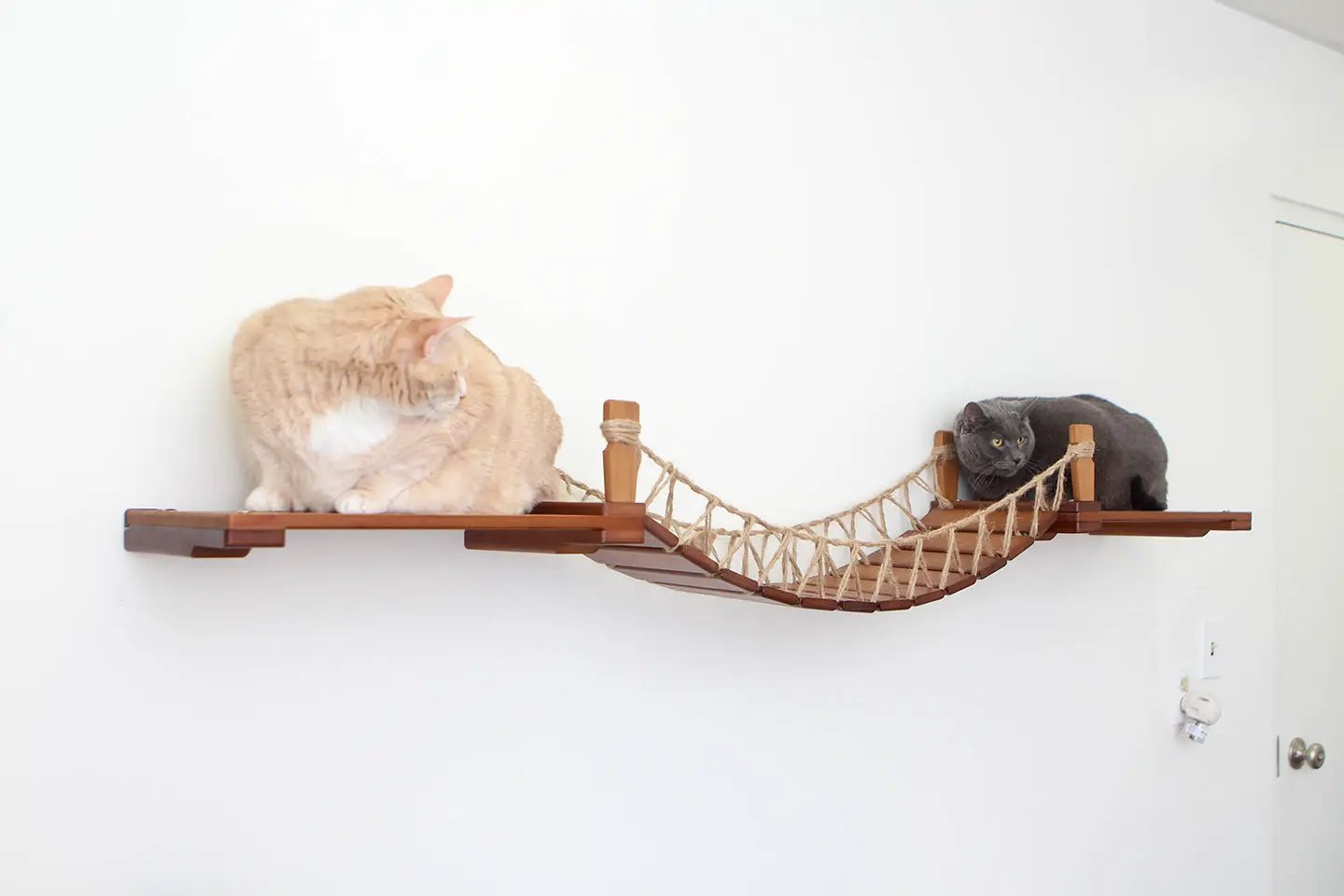 Cat Wall Bridge and Shelf Set; wooden cat perch with rope bridge, orange tabby and gray cats.