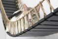 Load image into Gallery viewer, Cat Bridge for Wall; black metal frame with hanging jute rope strands and a cat peering through.
