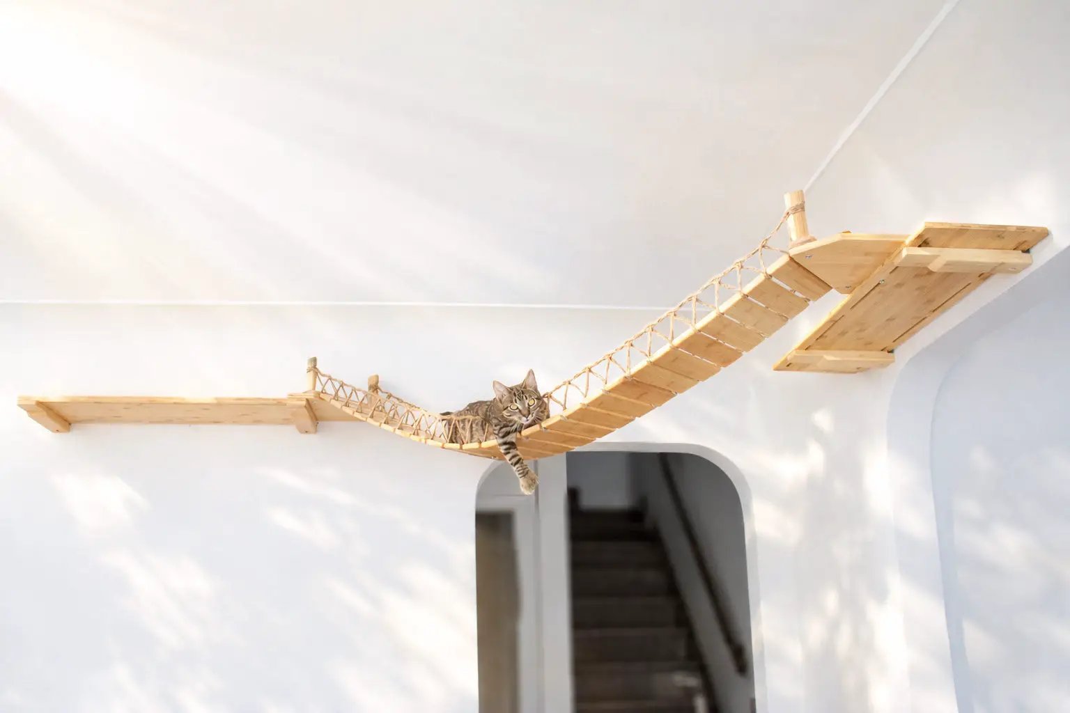 Corner Cat Shelf Bridge by Catastrophic Creations, wooden cat bridge with rope sides