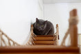Gallery viewerに画像を読み込む, Cat Wall Bridge and Shelf Set; wooden cat bridge with rope railings
