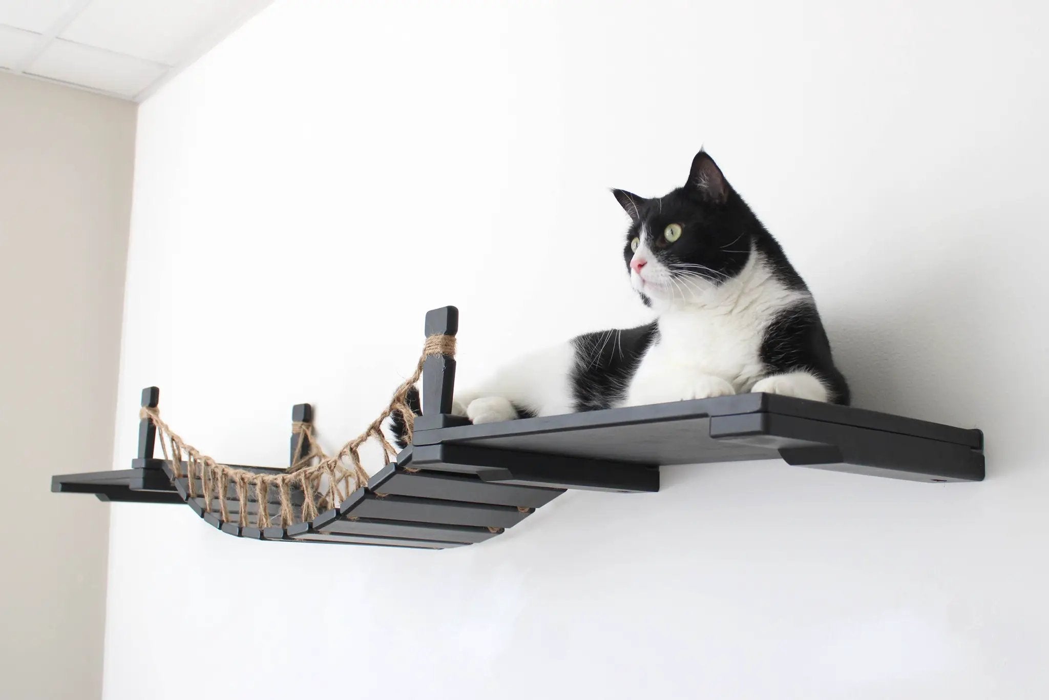 Cat Wall Bridge and Shelf Set on dark gray wood shelves with rope bridge, tuxedo cat perched
