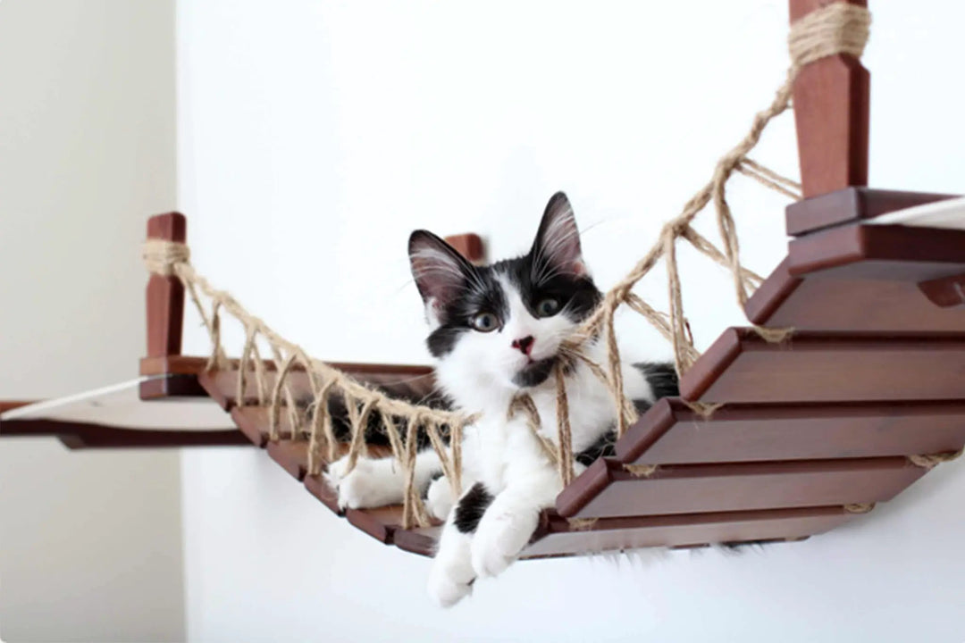 Double Cat Hammock and Climbing Bridge Combo cat bridge with brown wooden planks and natural jute rope