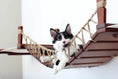 Charger l'image dans la visionneuse de la galerie, Double Cat Hammock and Climbing Bridge Combo cat bridge with brown wooden planks and natural jute rope
