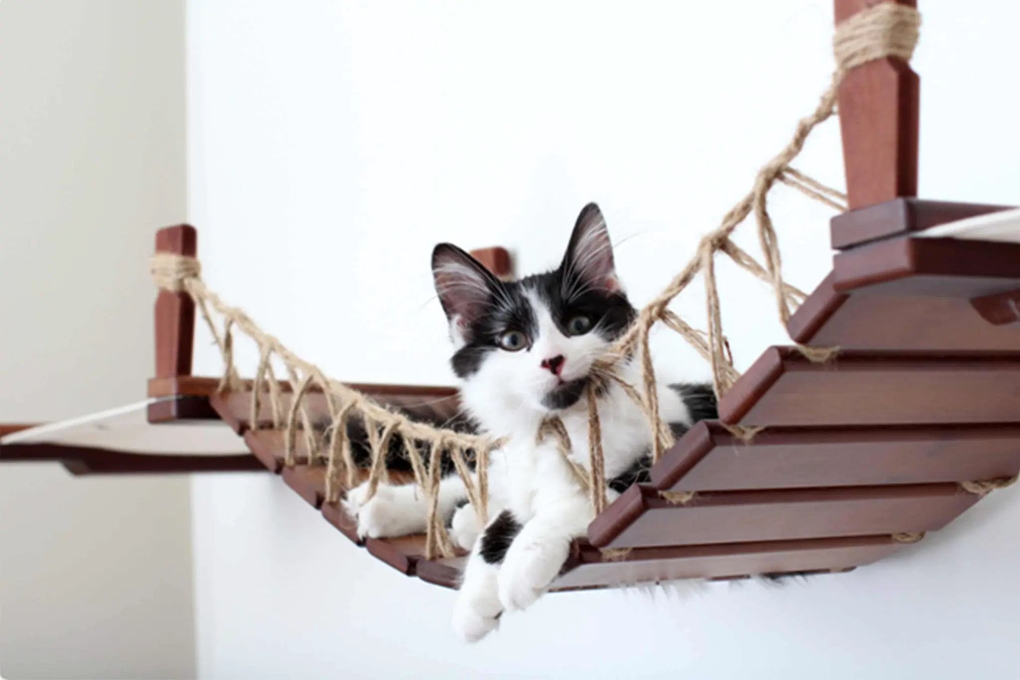 Double Cat Hammock and Climbing Bridge Combo cat bridge with brown wooden planks and natural jute rope