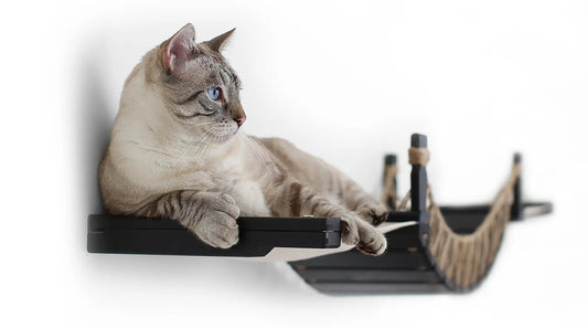 Cat Bridge by Catastrophic Creations: Double Cat Hammock and Climbing Bridge in black.