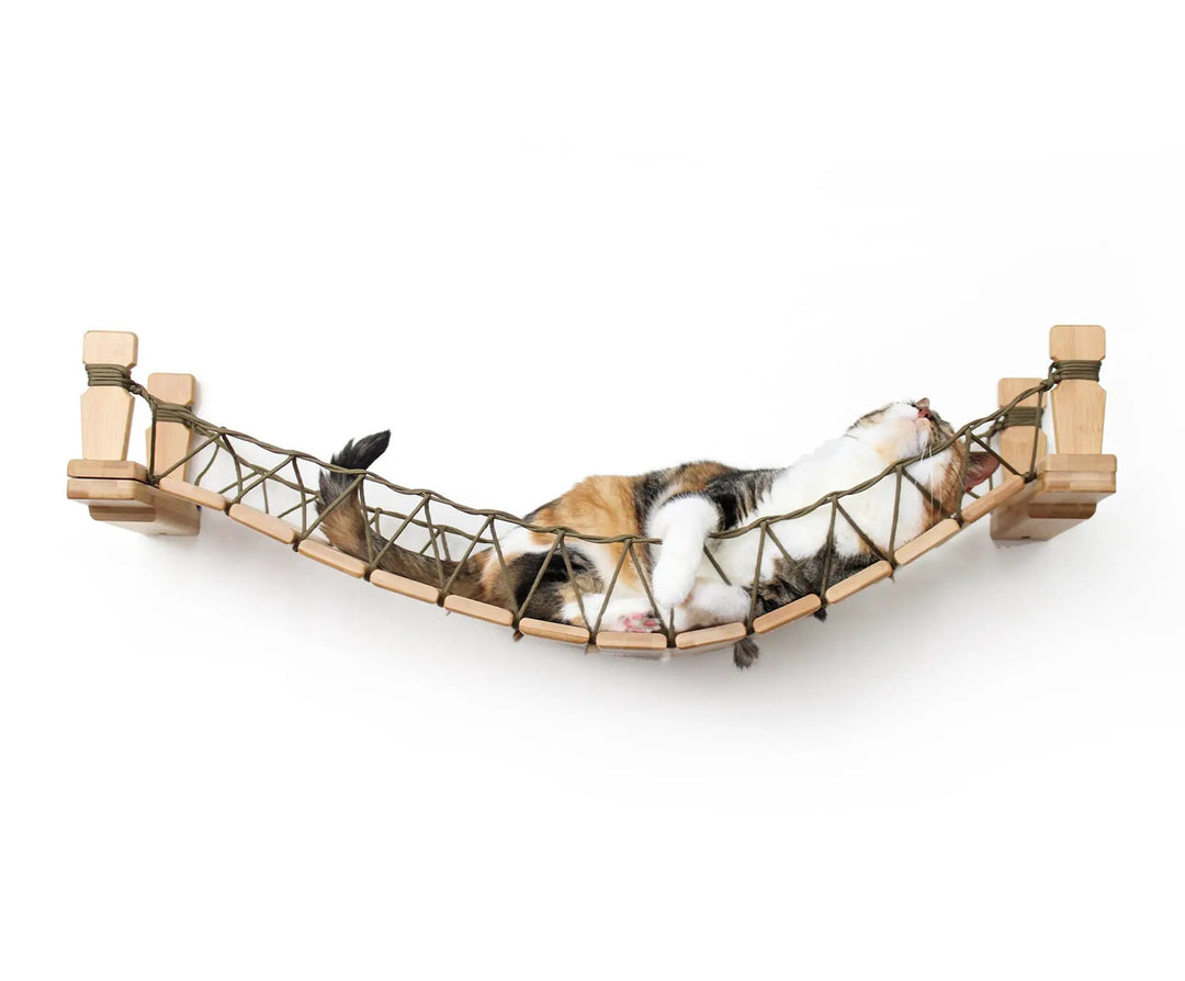 Cat Bridge for Wall by Catastrophic Creations; natural wood frame with rope netting, cat lounging on hammock