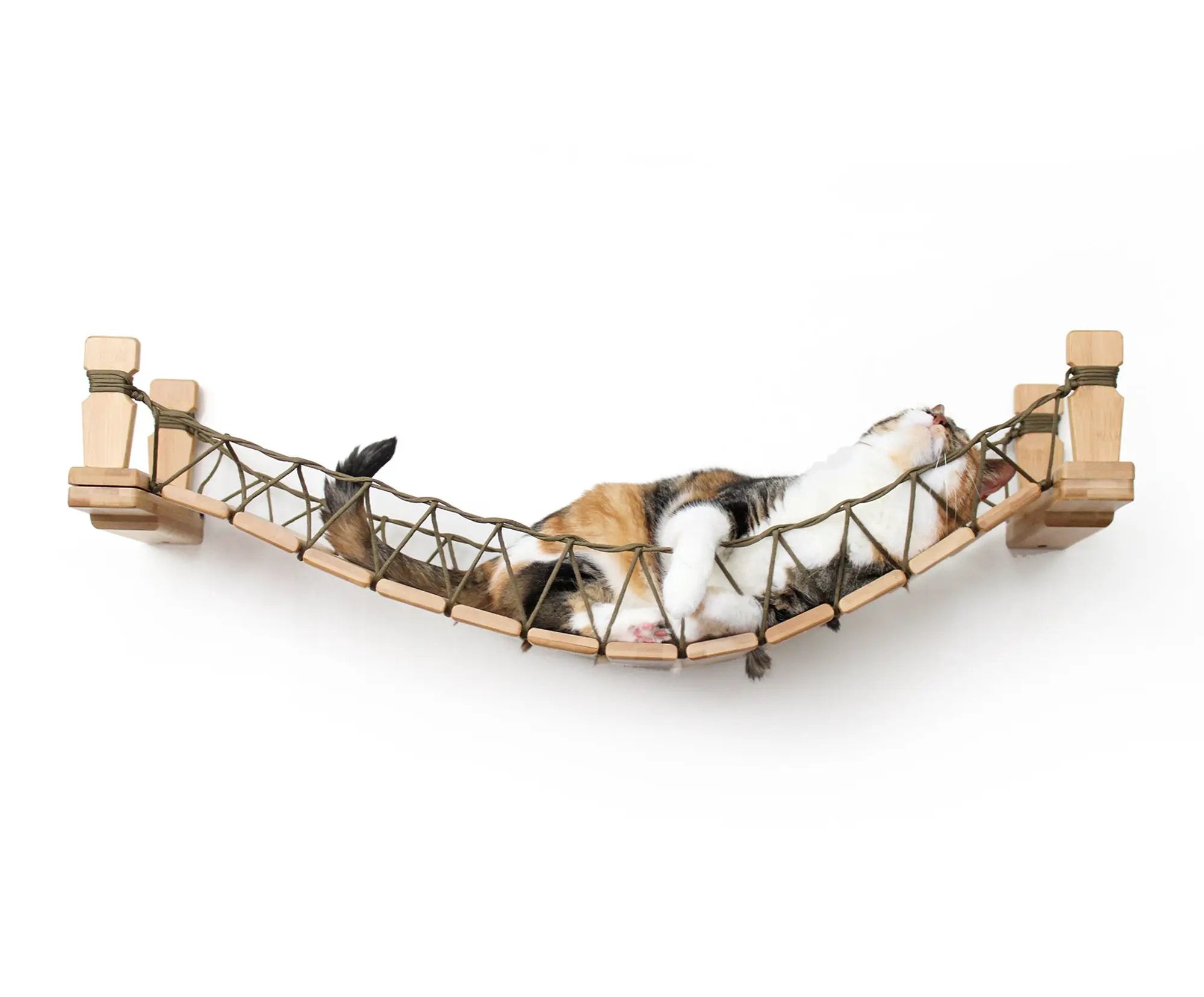 Cat Bridge for Wall by Catastrophic Creations; natural wood frame with rope netting, cat lounging on hammock