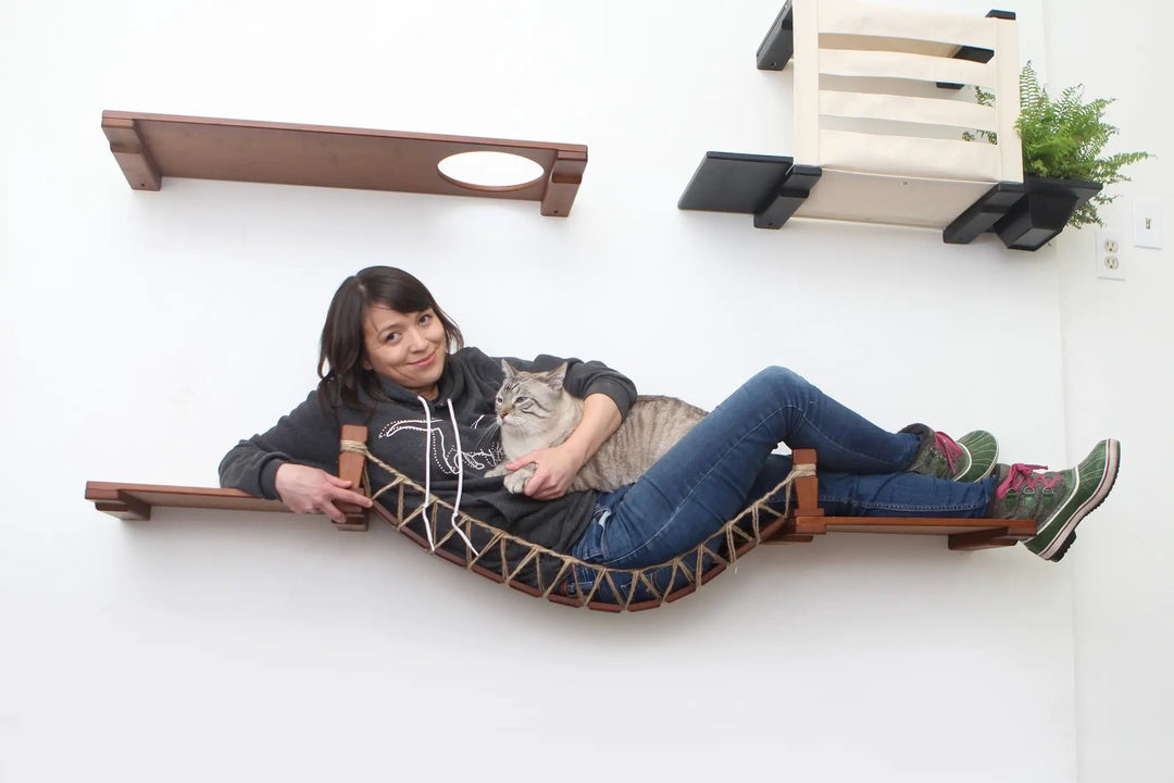 Cat Wall Bridge and Shelf Set by Catastrophic Creations; wooden cat perch with rope hammock and wall-mounted platforms.