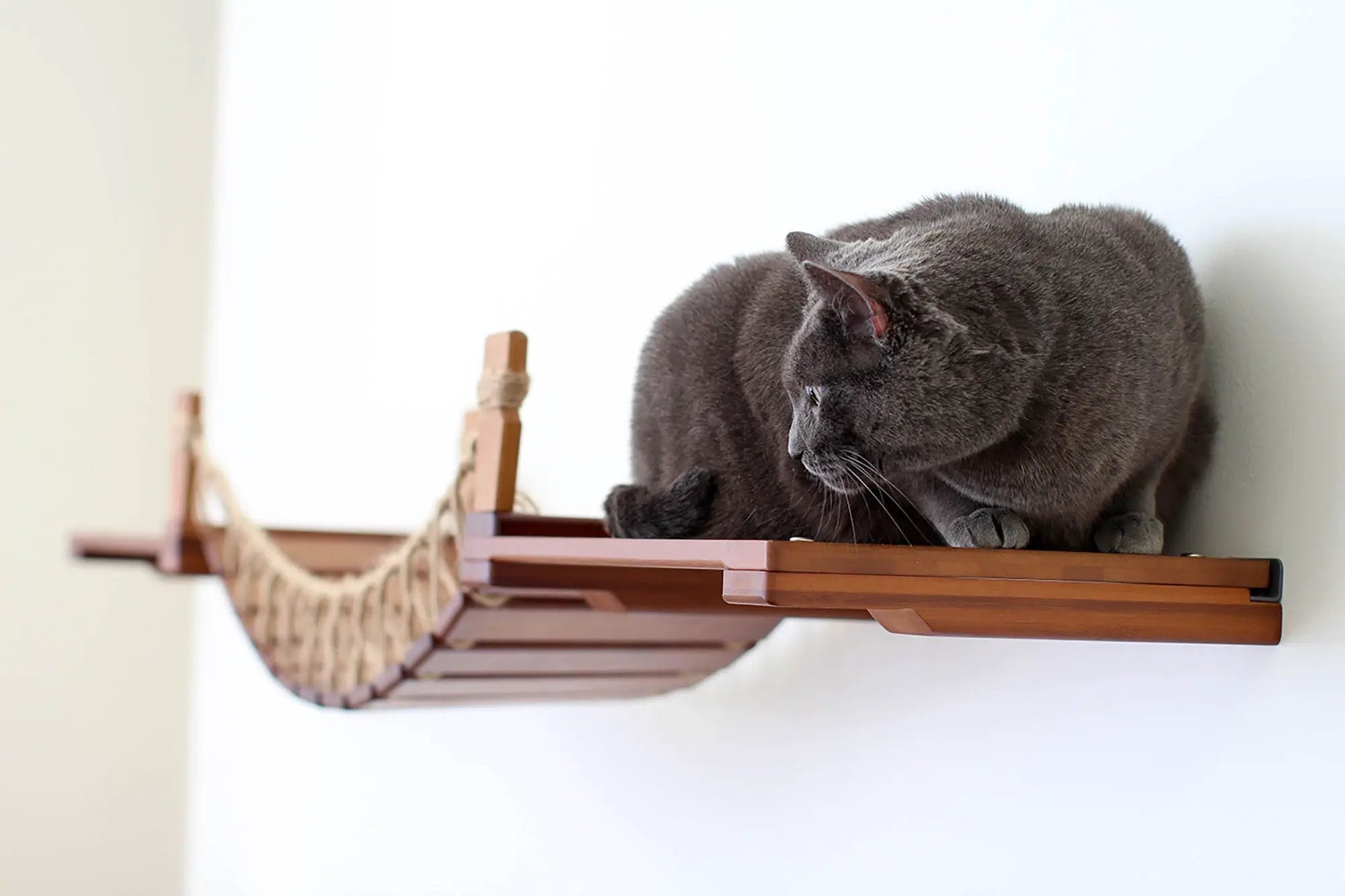 Cat Wall Bridge and Shelf Set; gray cat perched on brown wooden shelf with rope accents.