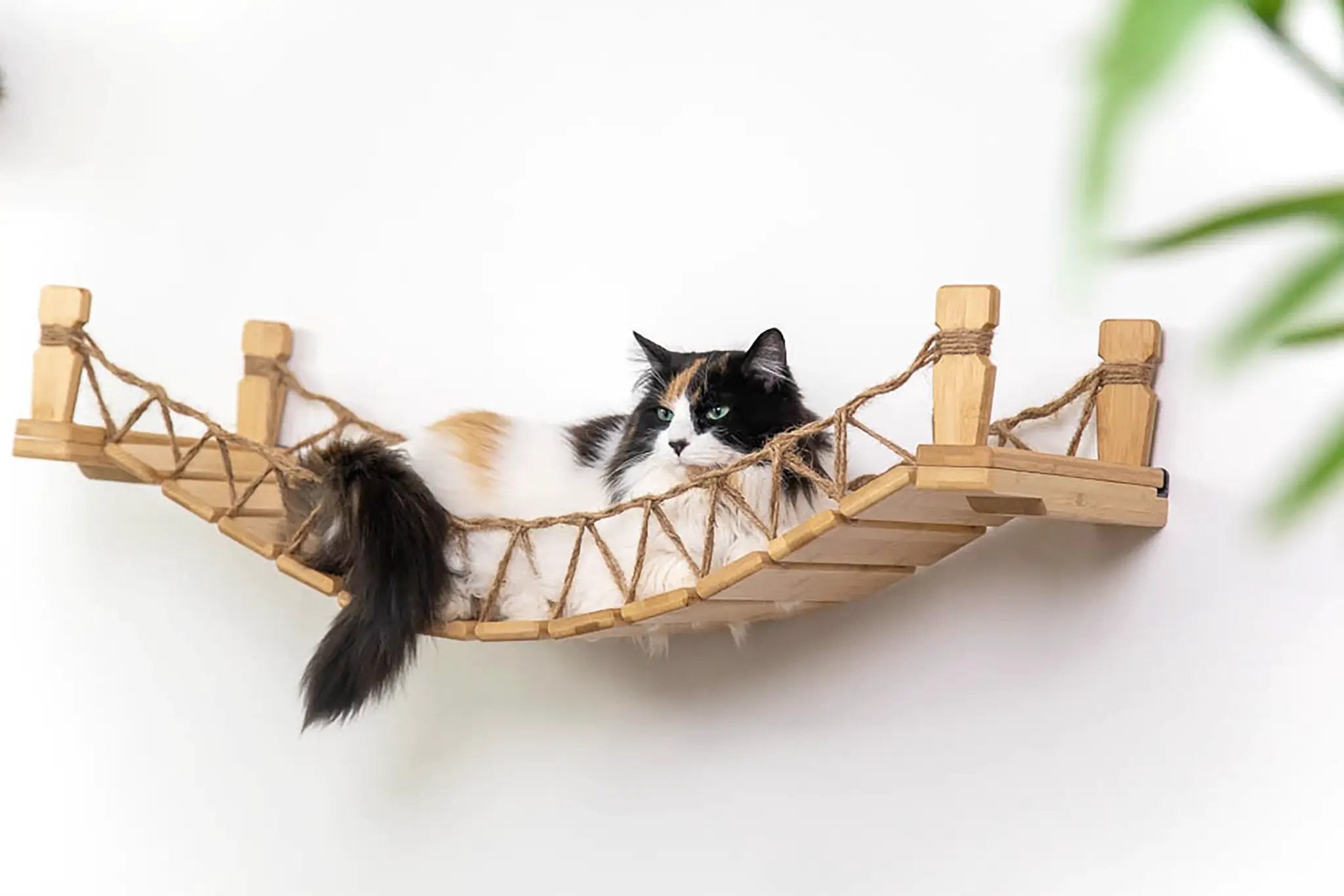 Cat Bridge for Wall by Catastrophic Creations, wooden cat perch with rope net and resting cat