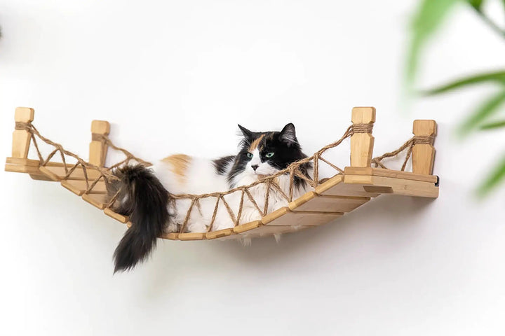 Cat Bridge for Wall by Catastrophic Creations, wooden cat perch with rope net and resting cat