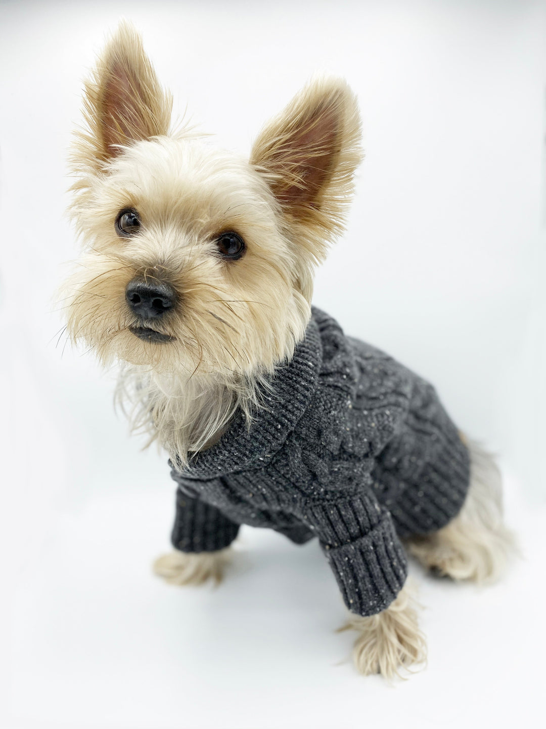 Bespoke Paws Brooklyn Cashmere Dog Cardigan, Charcoal