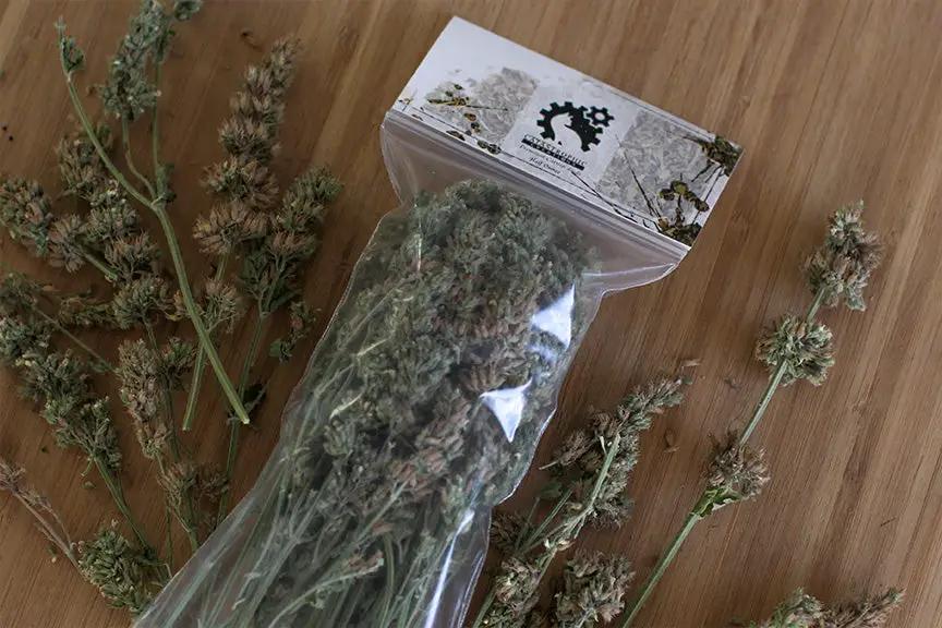 Catnip Buds - Dried & Organic in a clear bag; Catastrophic Creations cat treats