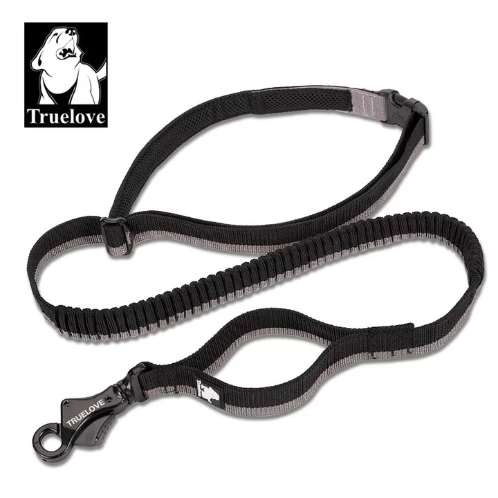 TrueLove Hands-Free Bungee Dog Leash TLL2271