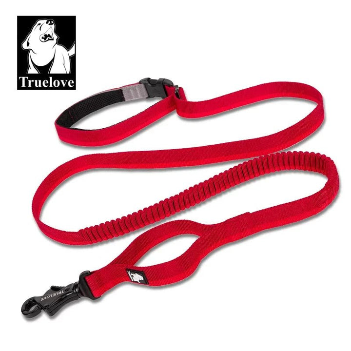 TrueLove Hands-Free Bungee Dog Leash TLL2271