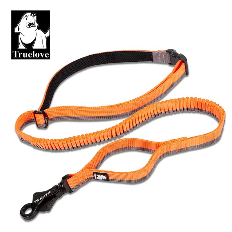 TrueLove Hands-Free Bungee Dog Leash TLL2271