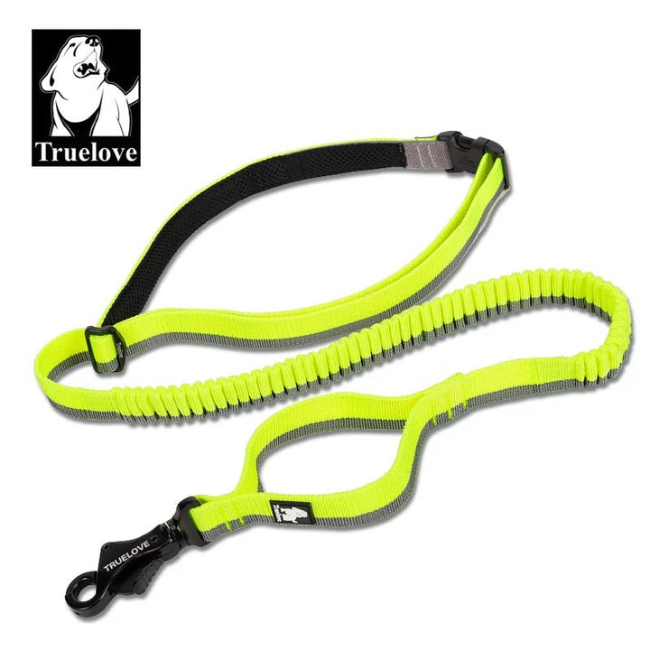 TrueLove Hands-Free Bungee Dog Leash TLL2271