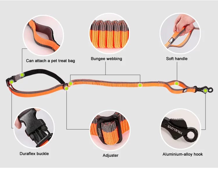TrueLove Hands-Free Bungee Dog Leash TLL2271