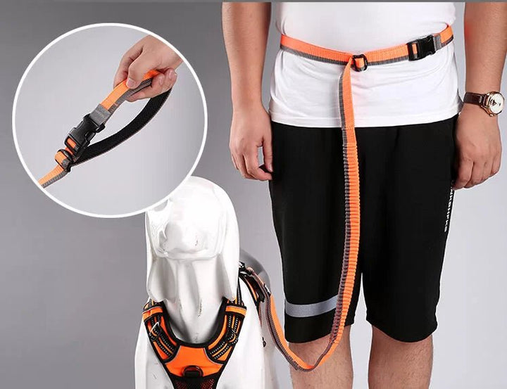 TrueLove Hands-Free Bungee Dog Leash TLL2271