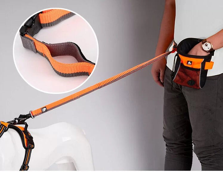 TrueLove Hands-Free Bungee Dog Leash TLL2271