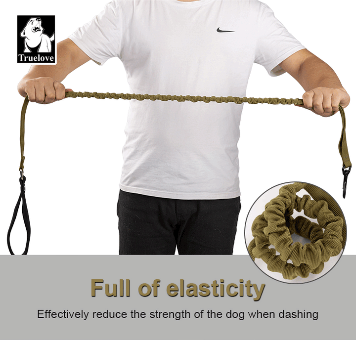 TrueLove Bungee Dog Leash with Traffic Handle TLL2281
