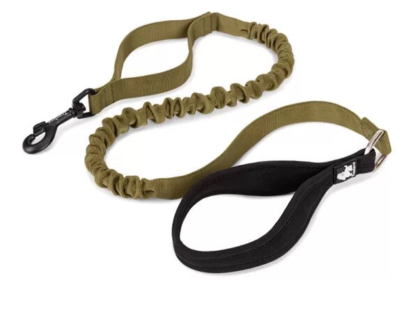 TrueLove Bungee Dog Leash with Traffic Handle TLL2281