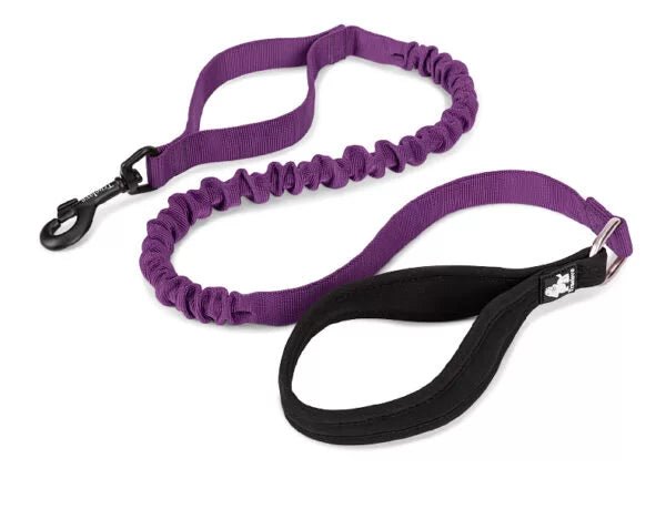 TrueLove Bungee Dog Leash with Traffic Handle TLL2281