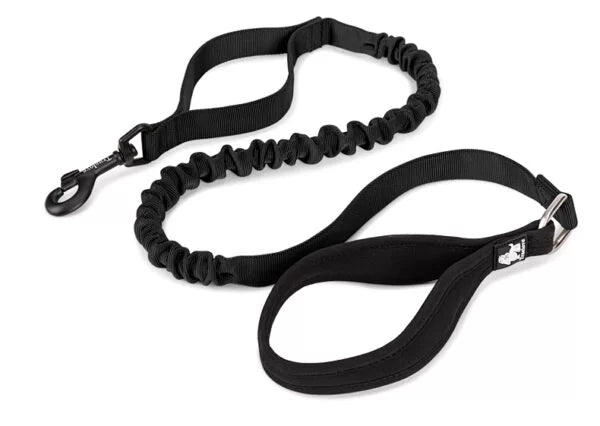 TrueLove Bungee Dog Leash with Traffic Handle TLL2281