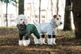 Load image into Gallery viewer, Spring Dog Rainproof Jacket SOCKPET green and gray rain coats for two dogs
