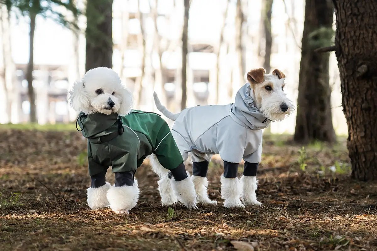 Spring Dog Rainproof Jacket SOCKPET green and gray rain coats for two dogs