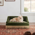 Load image into Gallery viewer, Duchess 33' Medium Princess Pet Bed Sofa with Fringe Skirt, Olive Green Velvet by HouseOfZazla
