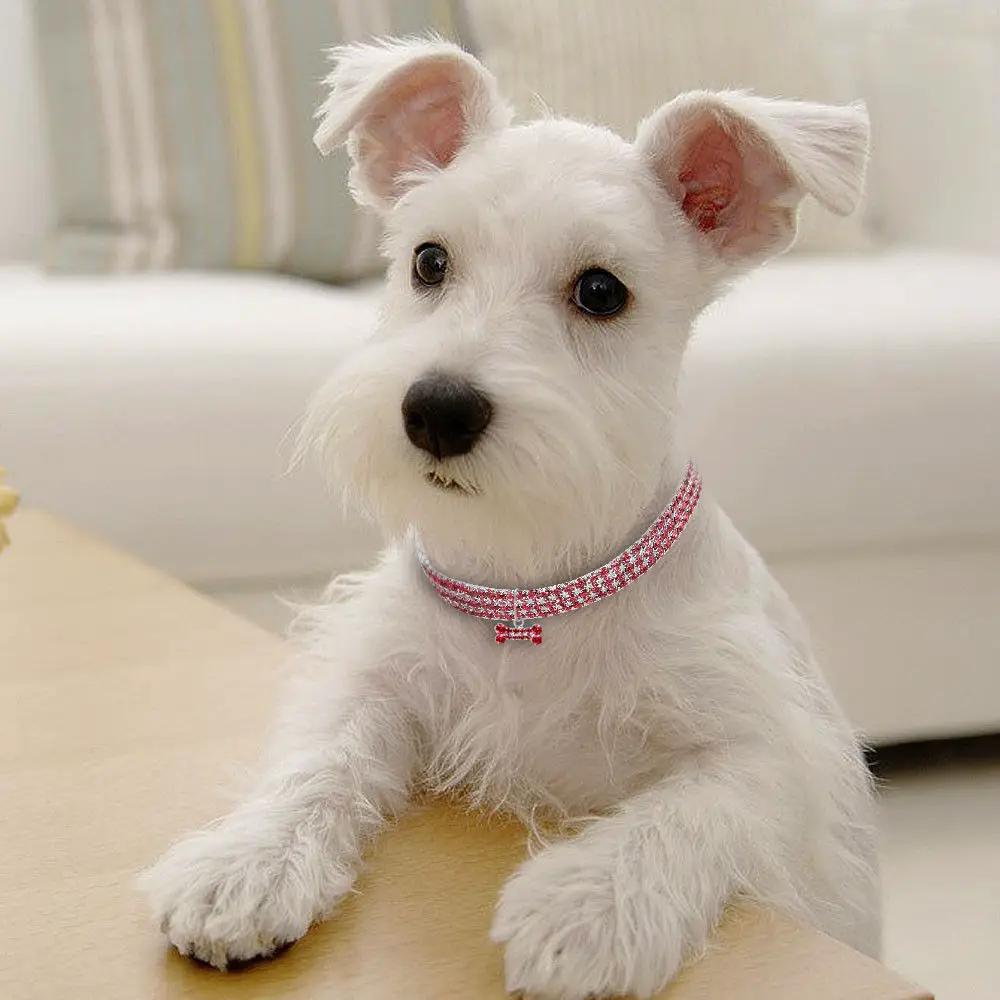 Bling Rhinestone Dog Collar Crystal Puppy Chihuahua Pet Dog Collars Leash For Small Medium Dogs Cats by My Store