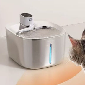 Stainless steel fountain with removable sensor module