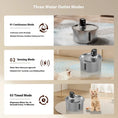 Bild in Galerie-Betrachter laden, Premium Stainless Steel Heated Cat Water Fountain With Nine Gear Base by Pet Zen
