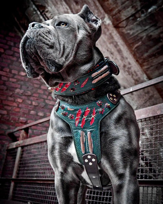 The ''Haunted'' harness LIMITED - Pet Collars & Harnesses from Bestia Dog Gear